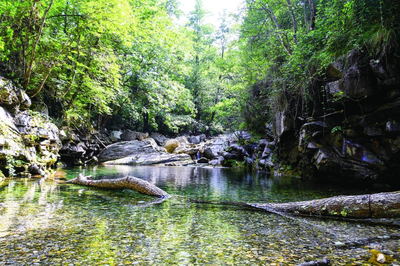 Agriturismo Nonnamelia Nasino Eksteriør bilde