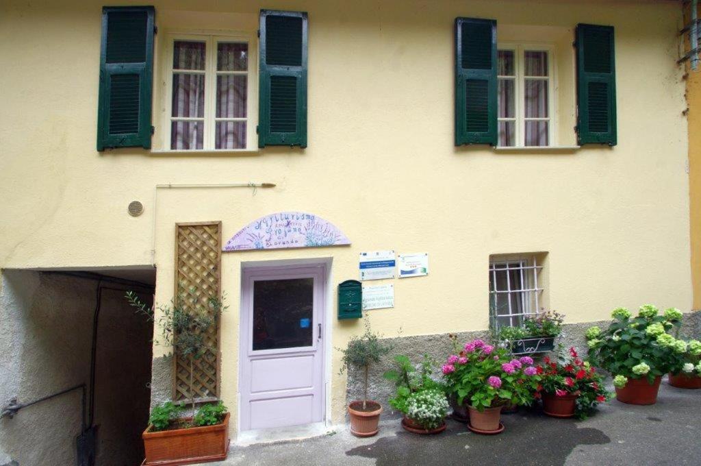Agriturismo Nonnamelia Nasino Eksteriør bilde
