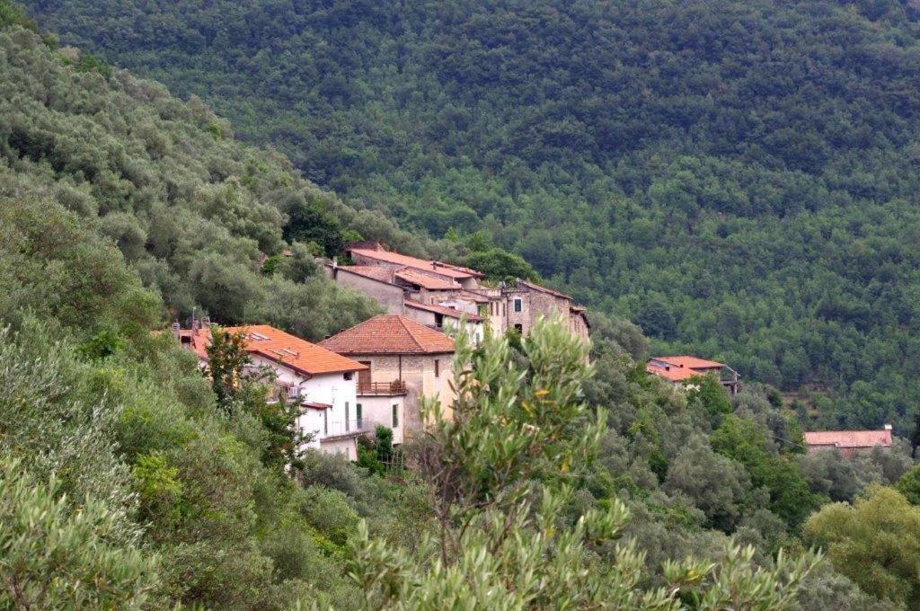 Agriturismo Nonnamelia Nasino Eksteriør bilde